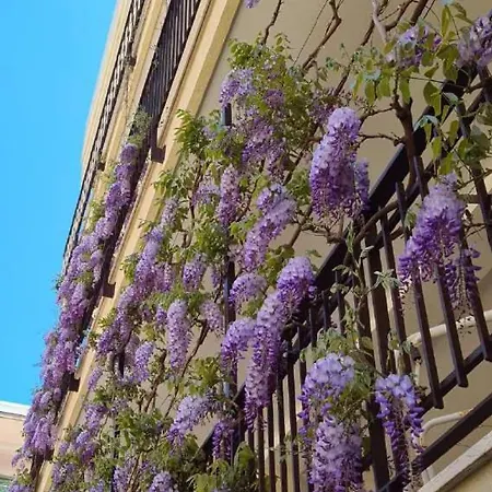 Apulia - *